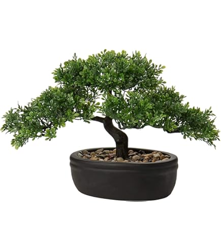 Pflanzen Klle Knstlicher Bonsai-Kiefer, Hhe ca. 140 cm : Amazon.de:  Kche, Haushalt & Wohnen