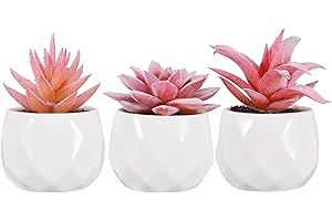 Zalava Plantas Artificiales Decorativas, 3Pcs Plantas Suculentas Pequeñas en Maceta para Hogar, Oficina, Baño, Cocina, Interior y Exterior
