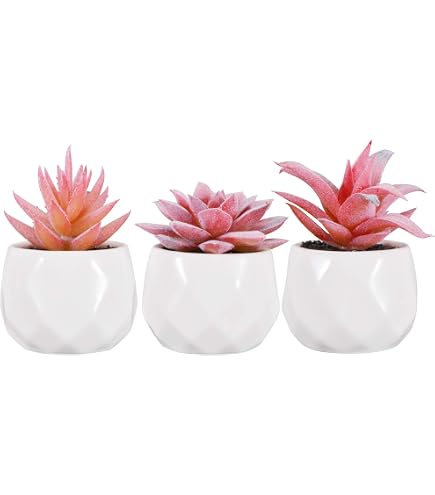 Set Da 14 Piante Grasse Artificiali Senza Vaso - Assortimento Di Succulente Finte In PE Per Decorazione Casa, Ufficio E Centrotavola