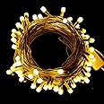 One94Store 12 Meter 36 LED Dhoom Lights - 8mm Waterproof LED Rice String Lights for Indoor/Outdoor Decoration, Festival, Party, Wedding, Garden (Warm White, Pack of 1)