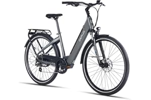 ‎DERUIZ DERUIZ 28Zoll Quartz & Marble E-Bike mit 644Wh großem Akku Rh 45cm 250W 55 Nm Heckmotor Trekking/City Pedelec für Damen und Herren maximal 150km Elektrofahrrad