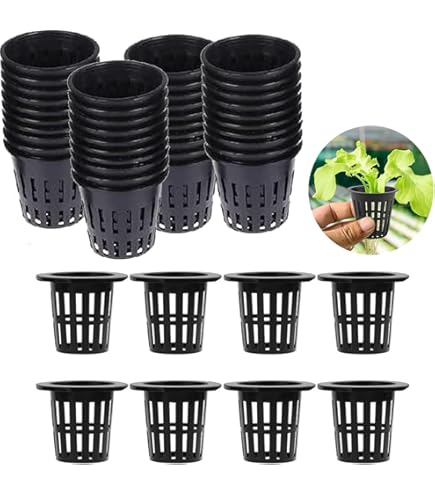 Blumenkasten Kunststoff + Bewsserungssystem Set 5 Plastic Flori Plant Bowl  White for Hydroponics L 36.0 cm W 13.5 cm H 11.0 cm : Amazon.de: Garden