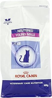 neutered young male 10 kg