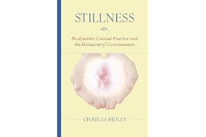 Stillness: Biodynamic Cranial Practice and the Evolution of Consciousness