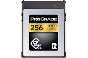 Scheda di memoria ProGrade Digital 256 GB CFexpress Tipo B (GOLD)