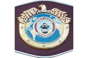 SDX REPLICA WBO Boxing Replica Championship Belt Metal Plates Adult Premium Quality Leather