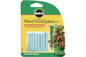 Miracle-Gro 1002522 Indoor Plant Food Spike, 1.1 Ounce