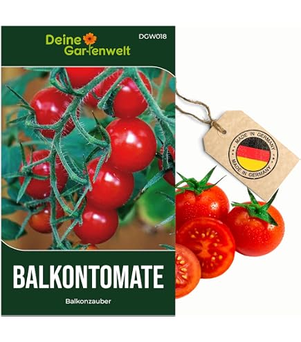 50 Se Campari Premium-Tomatensamen Organically Grown - D 56 : Amazon.de:  Garten
