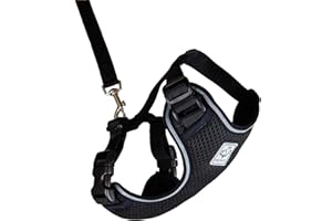 RC Pet Products Adventure Kitty Harness, Cat Walking Harness, Small, Black (53803001)