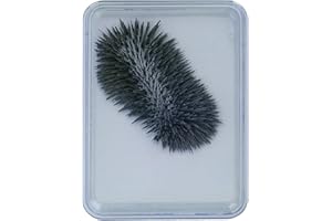 EDUPLAY 120107 Boîte de Limaille de Fer