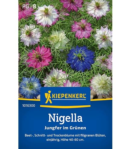 Kiepenkerl Lupinensamen Gartenzwerg Mischung – Kompakte Staude Für Beet & Kübel