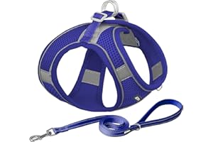 AIITLE Pettorina e guinzaglio per cani - Pettorine anti-tiro e anti-fuga con fasce riflettenti, imbracature regolabili per animali domestici all'aperto per cani di piccola e media taglia Blu Reale M