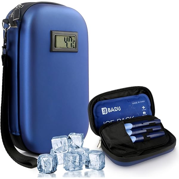 YOUSHARES Insuline Ice Packs voor Insuline Case - 2 stuks insuline koeltas nylon ijspakken voor insuline koeler reiskoffer herbruikbare ijspakken (2 stuks