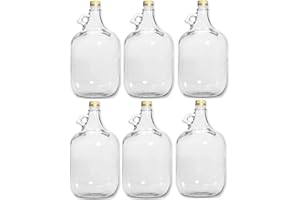 lilawelt24 6 x 5L GLASBALLON Weinballon GÄRBALLON GLASFLASCHE Flasche Gallone Leere Glasflasche zum Befüllen