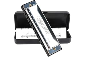 GOERPN Blues Harmonica in C, Diatonic 10 Holes 20 Tones Mouth Organ Key of C Stainless Steel Mini Blues Harmonica for Kids Adults Beginners and Performers (Silver)