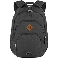 Travelite „Basics“: Rucksäcke für Städtetrips, Fahrrad- und Wandertouren – modern, funktional,sicher Rucksack, 45 cm, 22L, Anthrazit