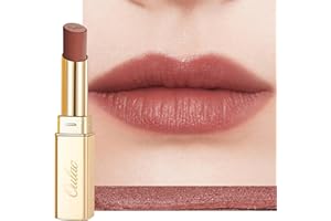 Oulac Rossetto Opaco Donna-Rossetti Matte Lunga Durata Opaco Alta Pigmentazione, Finitura Mat Morbida,Texture Leggera&Confortevole Rossetto Waterproof&No Transfer Matte Lipstick Make-up Vegano RM06