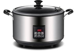 CALLOW RETAIL Digital Electric Smoker for Kitchen and Outdoor use, 500W with Hot or Cold Smoke