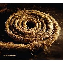 Recoiled: Coil, Nine Inch Nails: Amazon.it: CD e Vinili}