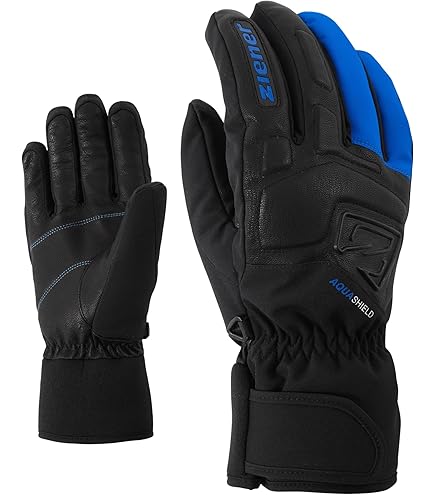 Reusch Break R-Tex® Xt Ski Handschoenen Heren - 10