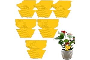 LEOINAER Super Ninja Anti Moucherons Intérieur – Pièges à Moucherons, Piège Jaune pour Contrôle des Insectes – 60 Plaques – Solution Efficace Contre Les Moucherons, Mouches et Insectes des Plantes d'