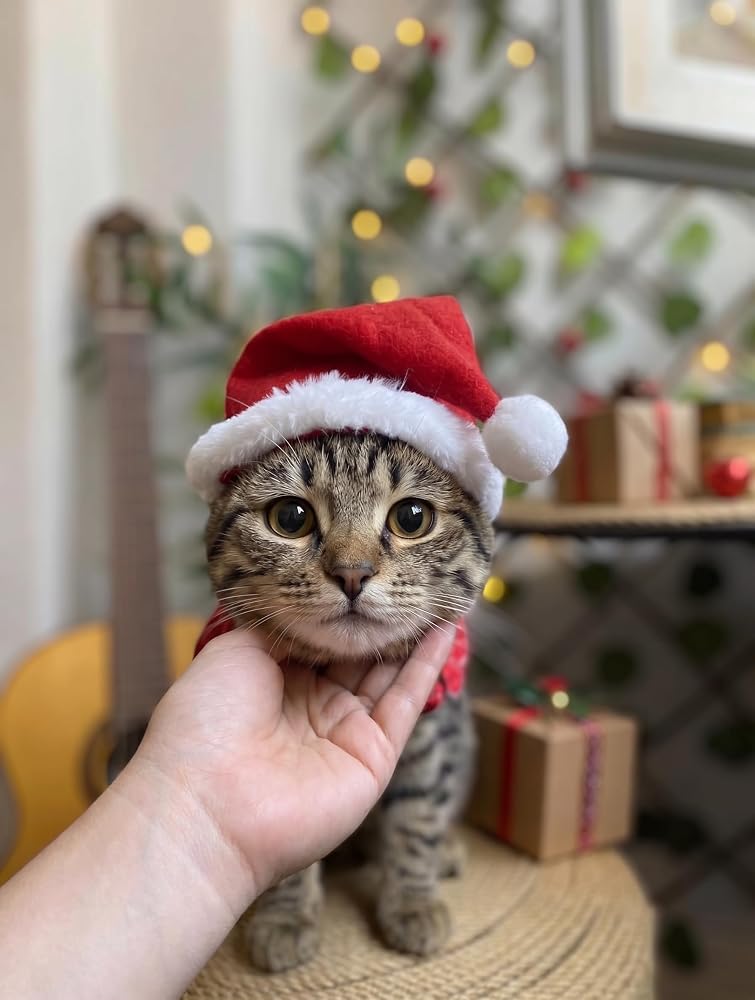 Yeni Yıl Kedi Şapkası Lastikli Yılbaşı Şapkası Yetişkin Kedi