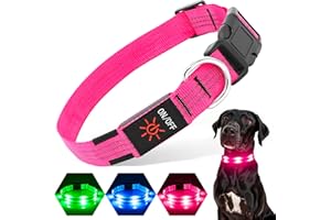 PZRLit LED Light Up Dog Collars USB Rechargeable Waterproof, Full Adjustable Lighted Glow Dark Dog Collar Light for Night Walking for Small Medium Large Dogs (led beads-Pink, Small)