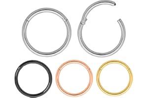 365 Sleepers 2 pezzi titanio 18G unisex incernierato segmento cerchio labbro anello al naso setto elica trago orecchini dormiente 6mm - 13mm
