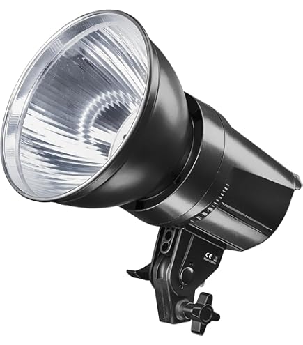 Walimex Pro Softbox 40 x 60 cm 60 W Bi Color LED. Leistungsstarkes Dauerlicht Inklusive Diffusor Und Fernbedienung. Farbtemperatur 3.000 – 6.000 K. Für Profi-Fotos Und Videos. Neigbar