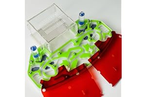 ANT GRAPE Große Größe 24 * 18cm Arylisches AMEISENNEST, Ameisenfarm, Ameisenlebensraum, FORMICARIUM MIT EINGEBAUTER Arena „PLATTFORM“ (Green)