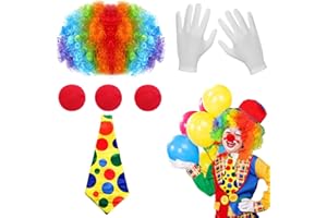 LXWINNER 6 Stück Clown Kostüm Accessoire,Regenbogen Clown Lockenperücke,Clown Nase,Clown Bunte Krawatte,Clown Weiß Handschuhe,Clown Kostüm für Karneval Cosplay,Zirkus Requisiten,Clown Party Kinder Erwachsene