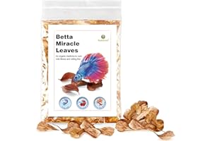 SunGrow Betta Fin Rot Medicinal Leaves, Aquarium Water Conditioner, Dried Indian Almond Leaves for Fish Tank, Create Blackwater Environment, Lower pH, Reduce Stress)