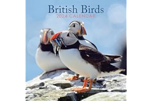 ROCHLI 2024 British Birds 12" x 12" Square Hanging Wall Calendar with Stunning Photography. No Plastic. Daily, Weekly, Monthly 12 Month Family Planner Organiser Calendar