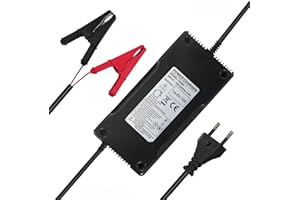 YZPOWER 14,6V 10A LiFePO4 Ladegerät Automatisches Batterieladegerät für 12V(12,8V) Lithium AkkuLadegerät Intelligentes Hochleistungs LiFePO4 Ladegerät Akku für Auto, Motorrad, Rasenmäher