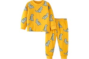 MIXIDON Pyjama Garçon Dinosaure Requin SUV Manches Longues Hiver Coton Chaud Ensemble de Pyjamas Garçon Vêtement de Nuit 2-10 Ans