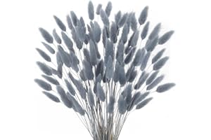 HUAESIN 120PCS Erba della Pampas Fiori Secchi Coda di Coniglio Blu Pampas Fiori Secchi Naturali Erba Coda di Coniglio Essiccati per Decorazioni Casa Tavola Matrimonio Vaso Feste