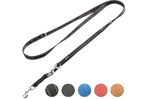 Vitazoo Guinzaglio da Addestramento per Cani Doppio - 3 metri - Lunghina da Cane in Nylon per Cane di Taglia Universale - Longhina Regolabile fino a 4 Lunghezze - Nero Riflettente