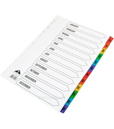 AZKEEGREY 10 Pack Plastic File Dividers A4 Monthly Dividers For Lever