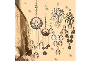 DAZZTIME Crystal Suncatcher, Appeso Arcobaleno Prisma Finestra, Cristalli, Prismi a Sfera in Cristallo Trasparente, Pendenti Decorazione da Appendere