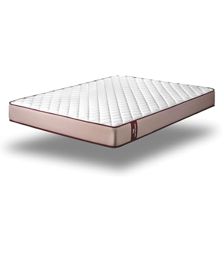 Cama Express Lot de 6 Pieds cylindriques pour sommier ou Bases tapissées | Pieds métalliques de 32 cm avec Filetage pour M-10