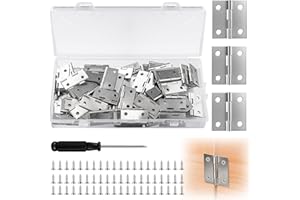 Nadisean 80 Piezas Mini Bisagras, 25 x 25mm Bisagras Pequeñas, Bisagra de Acero Inoxidable con 320 Tornillos y Destornillador, Door Hinges para Manualidades Caja de Madera Juguetes Casa de Muñecas