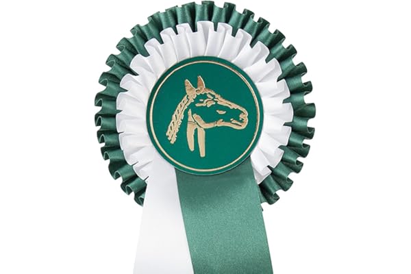 PFIFF Nœud de Gymnastique avec Ruban satiné, Rosace 1, 2 et 3 Positions