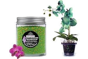 LiveLaif®- 150 gr Abono Orquideas NPK Liberacion Lenta 6 meses | Fertilizante Orquideas Crecimiento, Floracion y Salud Floral | Abono plantas | Fertilizante plantas | Bote con tapa (150 gr)