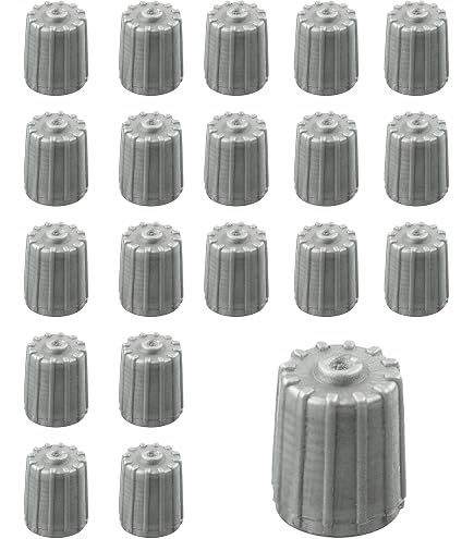 12 Tappi Per Valvole Pneumatici – Universali Per Auto, Moto, Camion – Con O-Ring – AOD