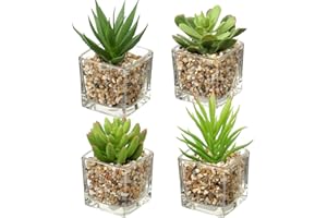 Briful Artificial Succulents Fake Succulent Plants, Set of 4 Small Fake Plants in Square Glass Pots Artificial Indoor Plants for Bathroom Bedroom Kitchen Home Decor