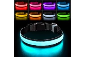 Leuchthalsband Hund Aufladbar, Hundehalsband Leuchtend Wasserdicht 7 Farbwechsel Einstellbare LED Leichte Halsband Hunde für 