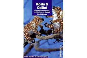 Koala & Colibri : Des animaux en perles, multicolores et souples