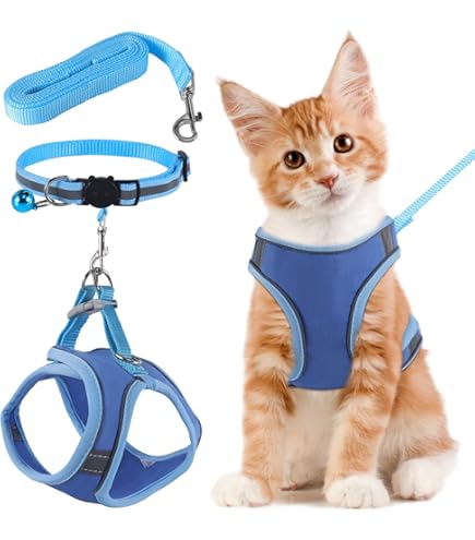 Pettorina Regolabile Per Gatti Con Guinzaglio - Taglia Medium, Antifuga, Riflettente - Foto 12