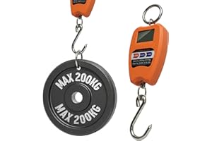 TEMPO DI SALDI Balance Professionnelle numérique Industrielle Crochet dynamomètre Ressort Max 200 kg, Assortis