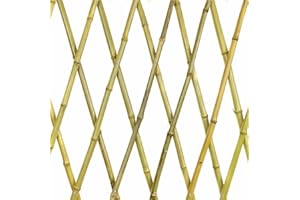 N.G. NICCOLAI NG NICCOLAI TRALICCIO ESTENSIBILE BAMBOO VARIE MISURE (90x180 CM)